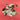 Bouton nacre 2 trous 12 mm - coudre - disclothed paris - couture
