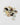 Bouton nacre 2 trous 12 mm - coudre - disclothed paris - couture