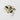 Bouton nacre 2 trous 12 mm - coudre - disclothed paris - couture