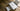Patrons PDF disclothed paris